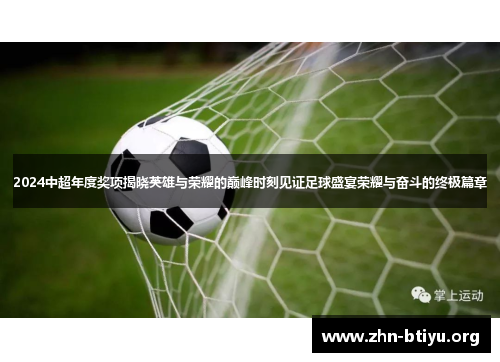 2024中超年度奖项揭晓英雄与荣耀的巅峰时刻见证足球盛宴荣耀与奋斗的终极篇章