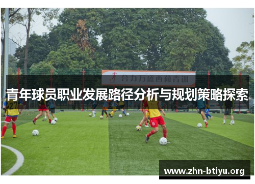 青年球员职业发展路径分析与规划策略探索