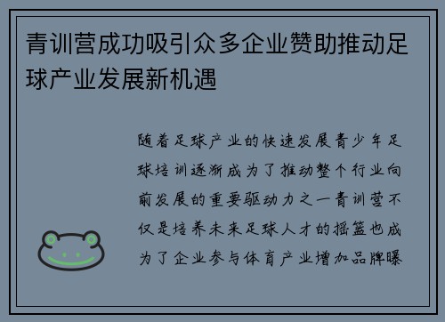青训营成功吸引众多企业赞助推动足球产业发展新机遇